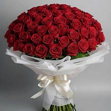 Букет 101 Красная роза Блэк Мэджик в Красный Профинтерн