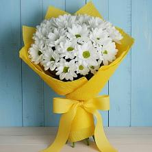 Букет цветов из:  Хризантемы в Красный Профинтерн