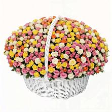 Премиум букет из: Розы в Красный Профинтерн