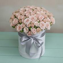 Цветочная композиция из Розы в шляпной коробке #REPLACE_PRED# Красный Профинтерн