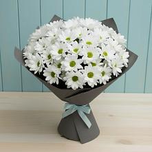 Букет цветов из:  Хризантемы #REPLACE_PRED# Красный Профинтерн