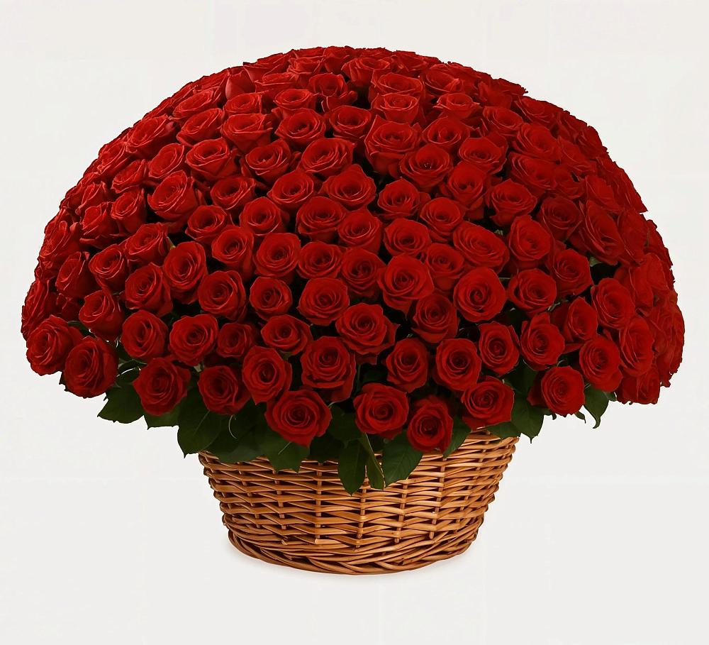 Премиум букет из: Розы в Красный Профинтерн