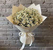 Букет цветов из:  Ромашки #REPLACE_PRED# Красный Профинтерн