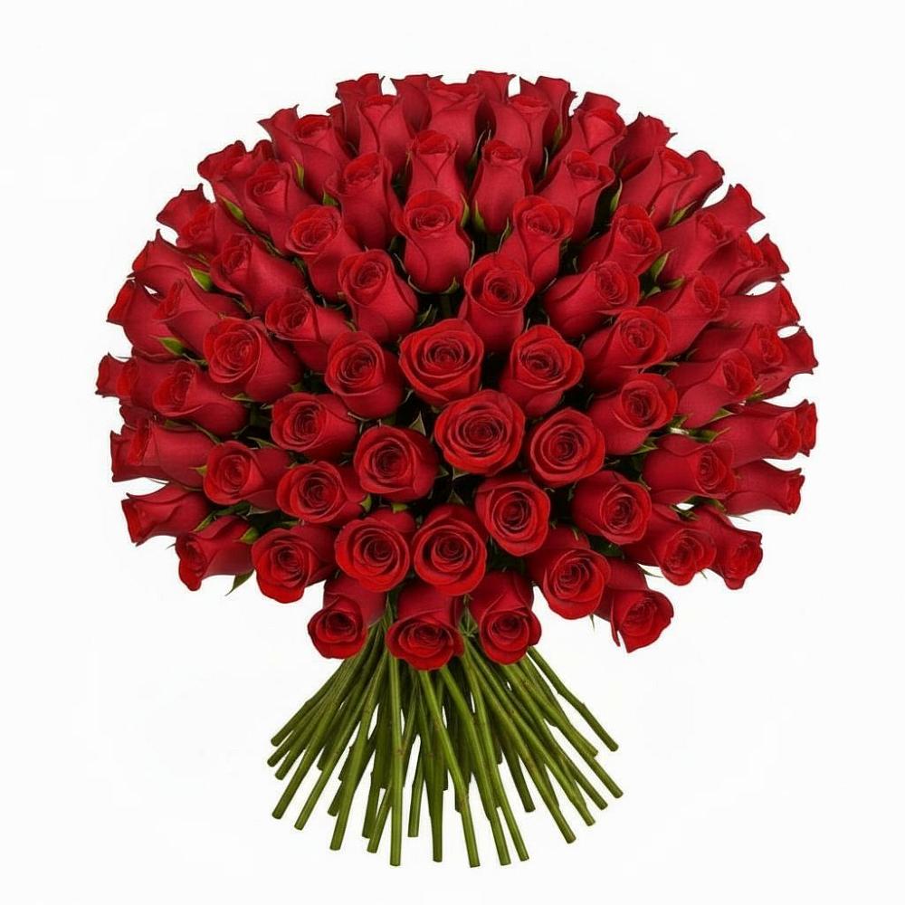 Букет Красные розы Чери Лав в Красный Профинтерн