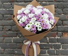 Букет цветов из:  Хризантемы в Красный Профинтерн