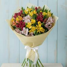 Букет цветов из:  Альстромерии #REPLACE_PRED# Красный Профинтерн