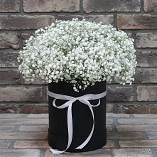 Цветочная композиция из Гипсофила в шляпной коробке #REPLACE_PRED# Красный Профинтерн