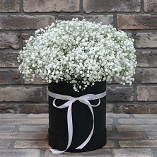 Цветочная композиция из Гипсофила в шляпной коробке в Красный Профинтерн