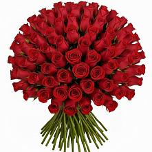 Букет Красные розы Чери Лав в Красный Профинтерн