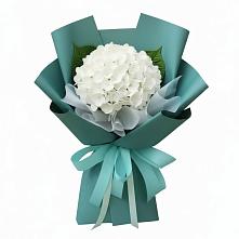 Букет цветов из:  Гортензия в Красный Профинтерн